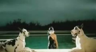 একটি বড় শিশ্ন সঙ্গে হট ভিডিও সেক্স একটি মোটা মানুষ মুখের মধ্যে blowjob মুখের মধ্যে cums