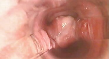 তরুণ bitches সঙ্গে পায়ূ সেক্স. বাংলাদেশী হট সেক্স ভিডিও Stacy Snake, Scyley Jam এর সাথে অশ্লীল ভিডিও