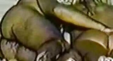 শুনানির পর বন্দীকে প্রধান তার অফিসে হট সেক্স ভিডিও বাংলা নিয়ে যাবে।