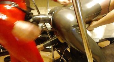 শুক্রাণুতে