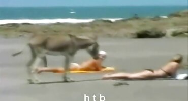 মেয়ে হট মম সেক্স ভিডিও মেয়ে কালো চুষে পাছায় দেয়