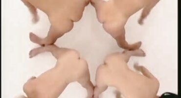 হার্ড fucking a cutie হট সেক্স ভিডিও ডাউনলোড যারা cocks চুষতে ভালবাসে